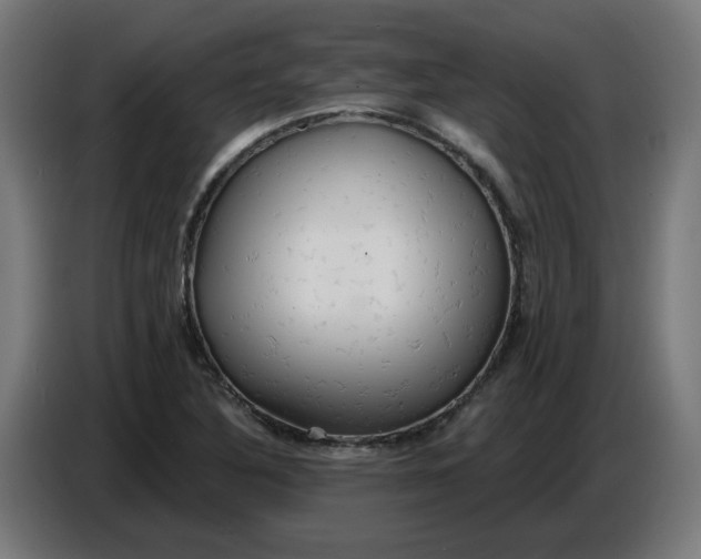 X0000086731316200705041340