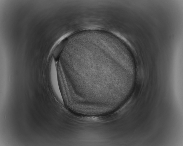 X0000086731317200705041340