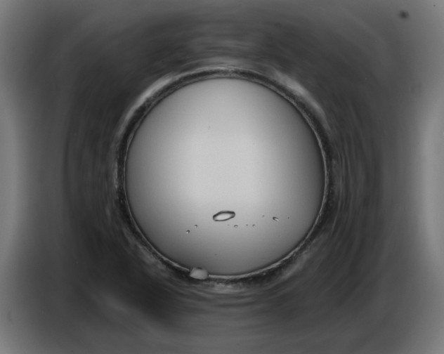 X0000086731318200705041340