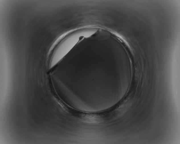 X0000086731319200705041340