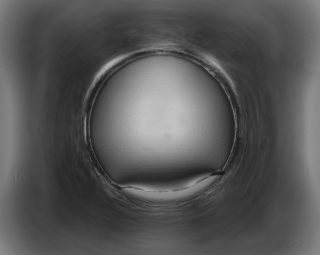 X0000086731320200705041340