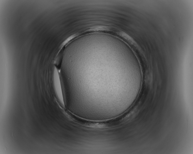 X0000086731321200705041340