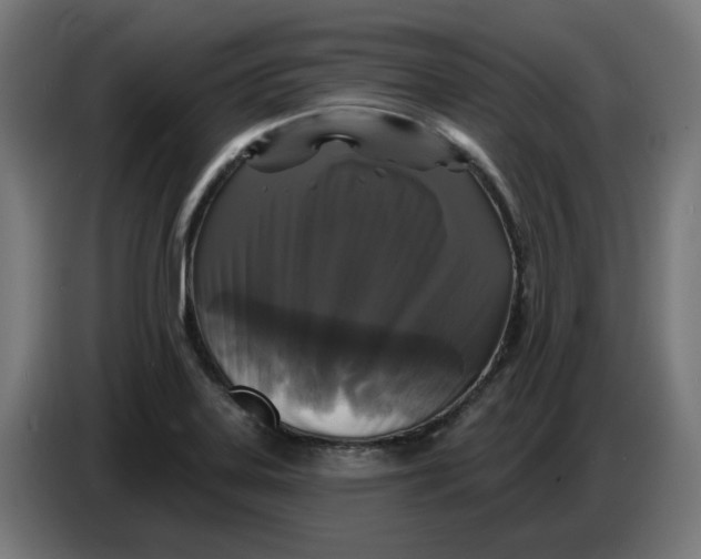 X0000086731323200705041340