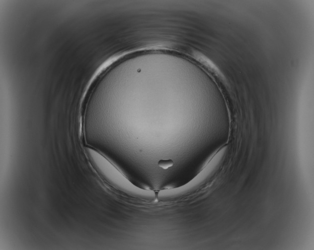 X0000086731324200705041340