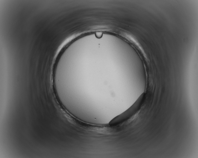 X0000086731328200705041340