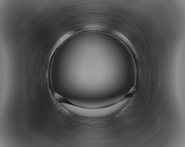 X0000086731330200705041340