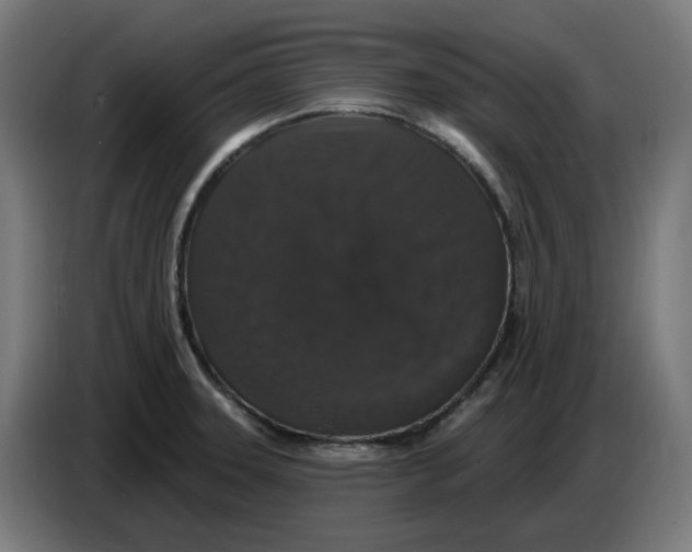 X0000086731331200705041340