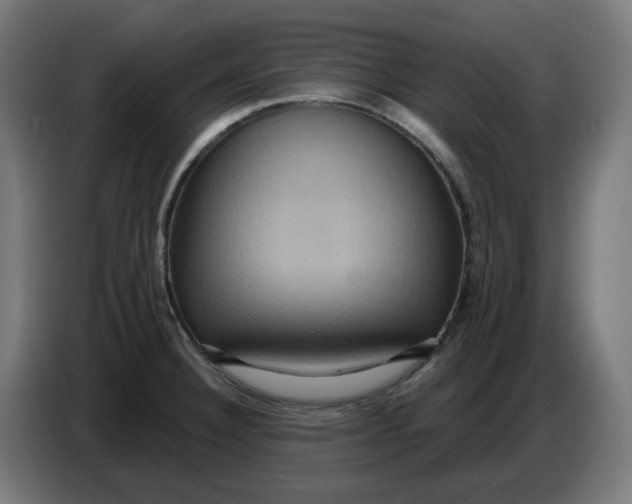 X0000086731332200705041340