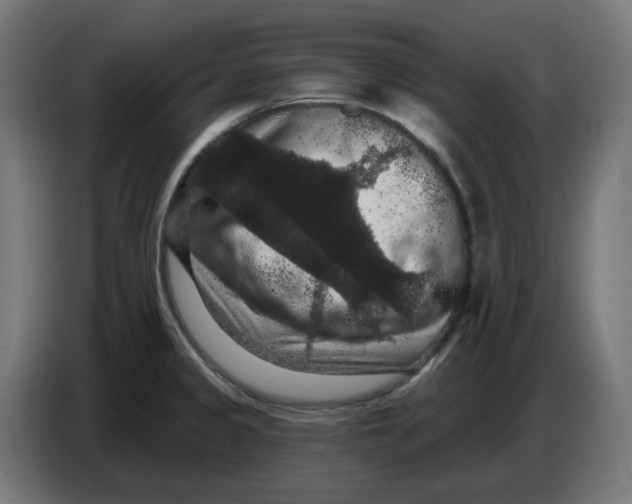 X0000086731333200705041340