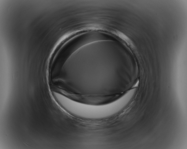 X0000086731334200705041340