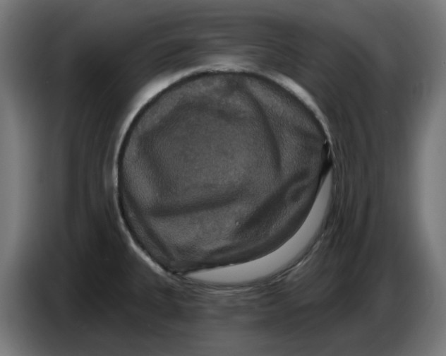 X0000086731335200705041340