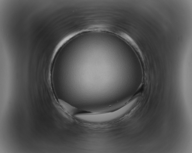 X0000086731336200705041340