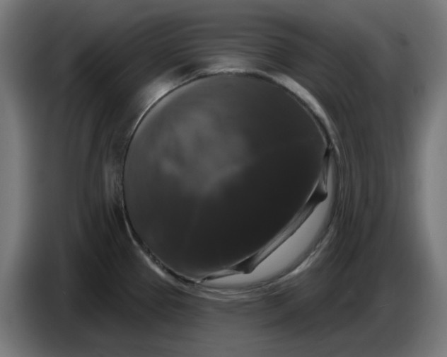 X0000086731337200705041340