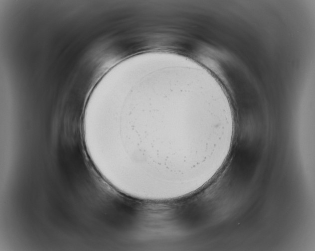 X0000086731338200705041340