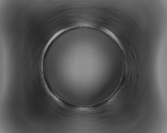 X0000086731339200705041340