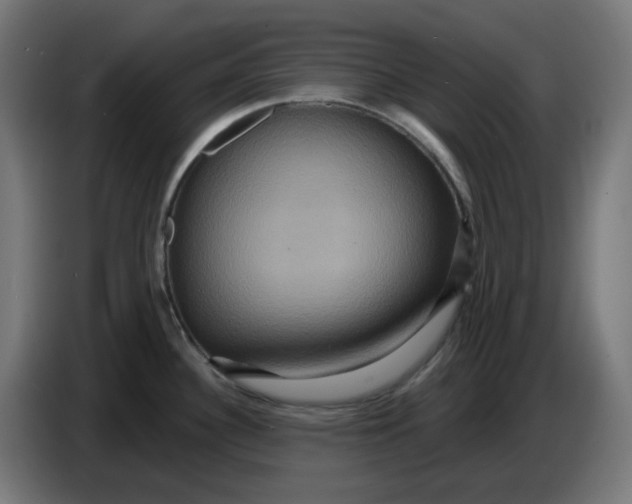 X0000086731340200705041340