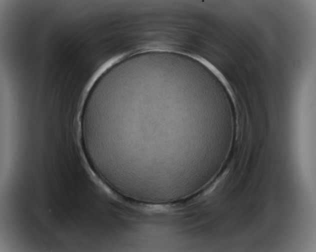 X0000086731341200705041340