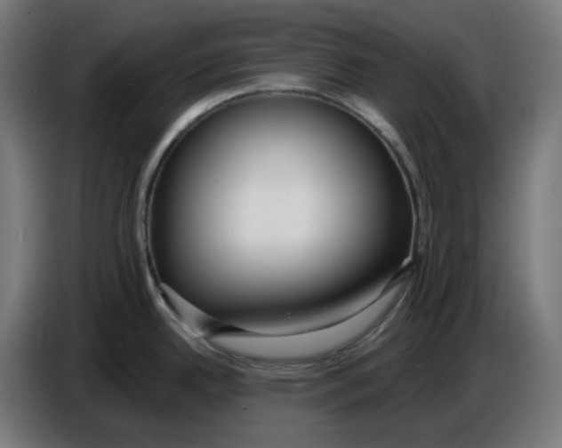 X0000086731342200705041340