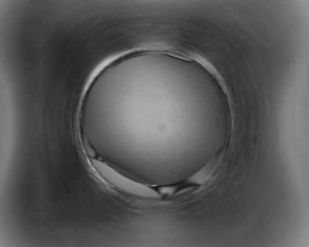 X0000086731344200705041340