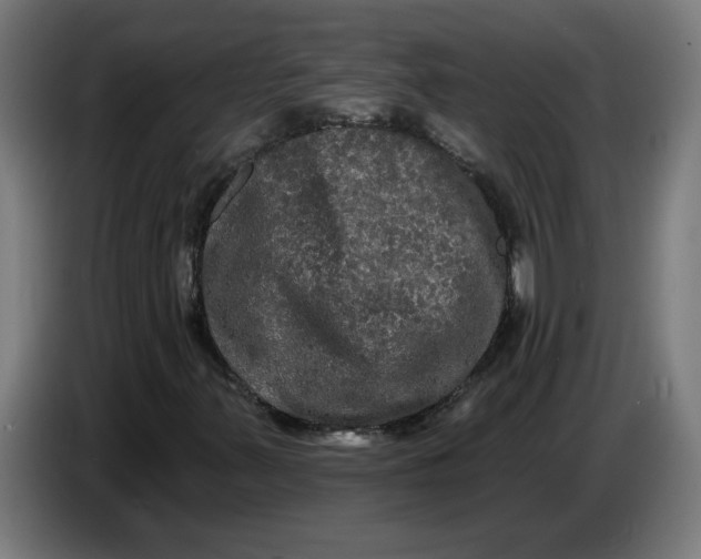 X0000086731347200705041339