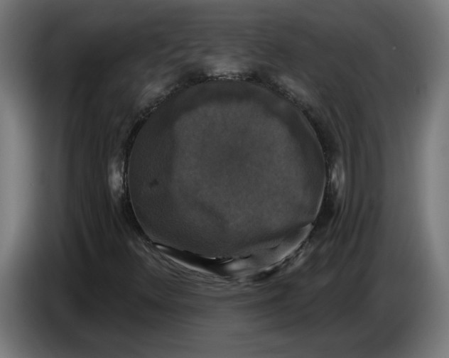 X0000086731348200705041339