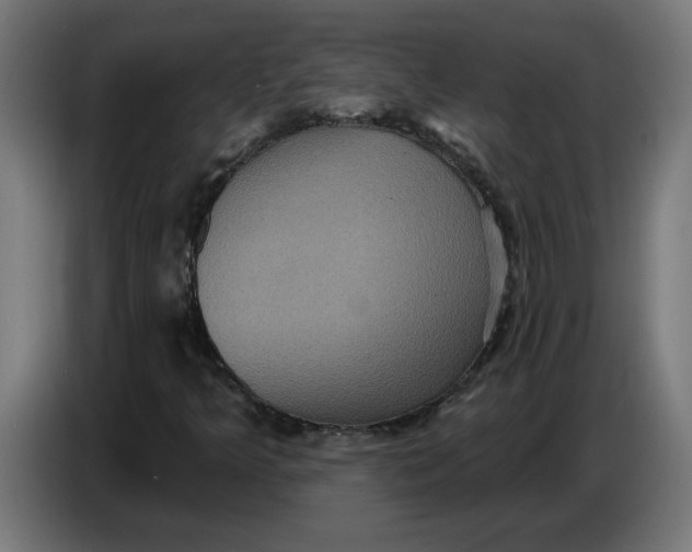 X0000086731349200705041339