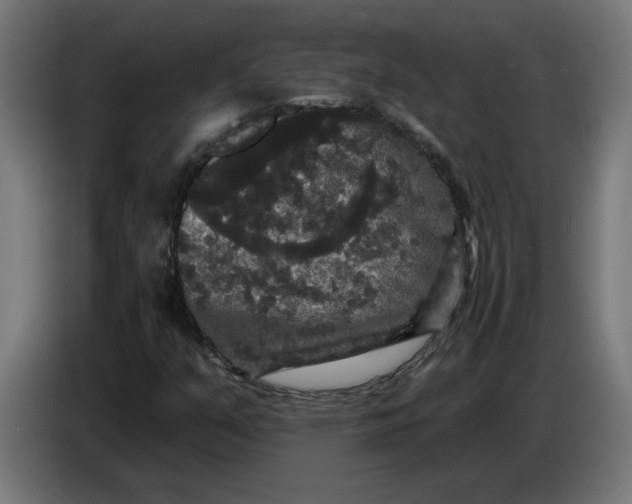 X0000086731351200705041339