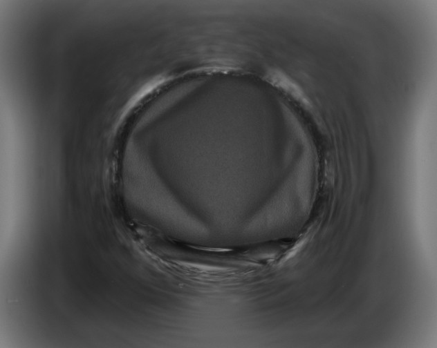 X0000086731352200705041339