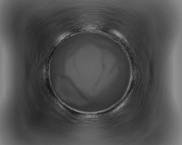 X0000086731353200705041339