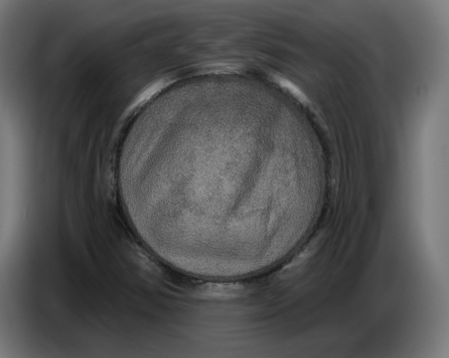 X0000086731354200705041339