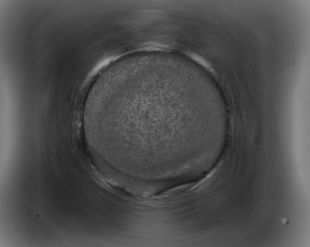 X0000086731355200705041339