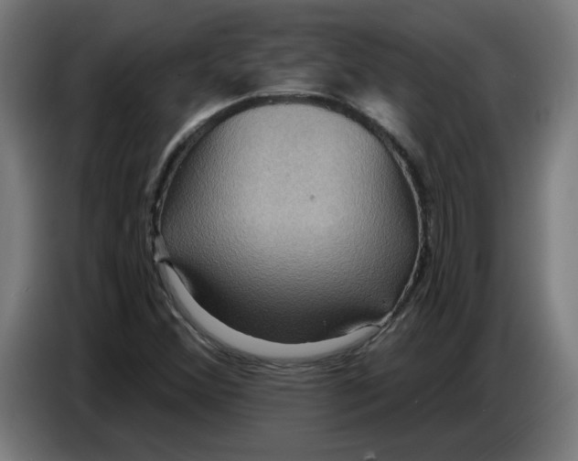 X0000086731356200705041339