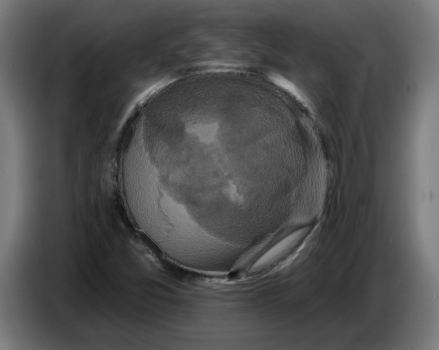 X0000086731357200705041339