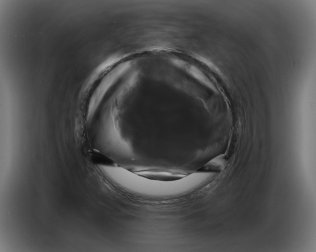 X0000086731359200705041339