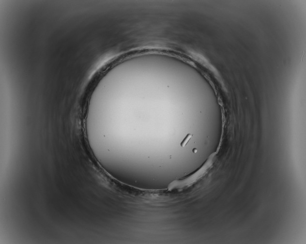 X0000086731360200705041339