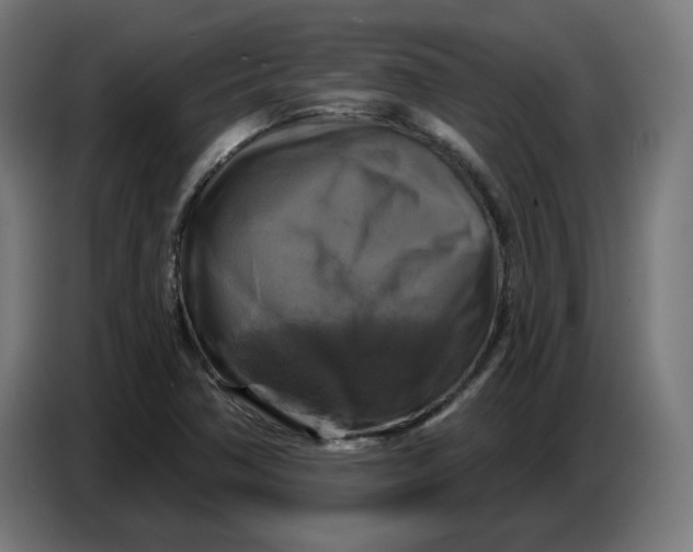 X0000086731362200705041339