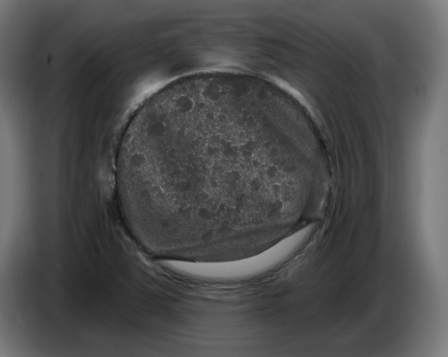 X0000086731363200705041339