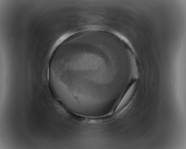 X0000086731365200705041339