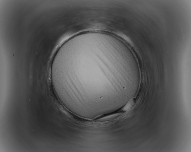 X0000086731366200705041339