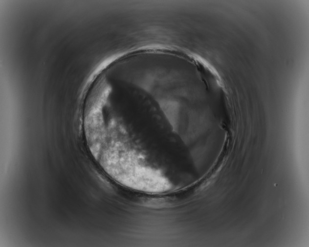 X0000086731367200705041339