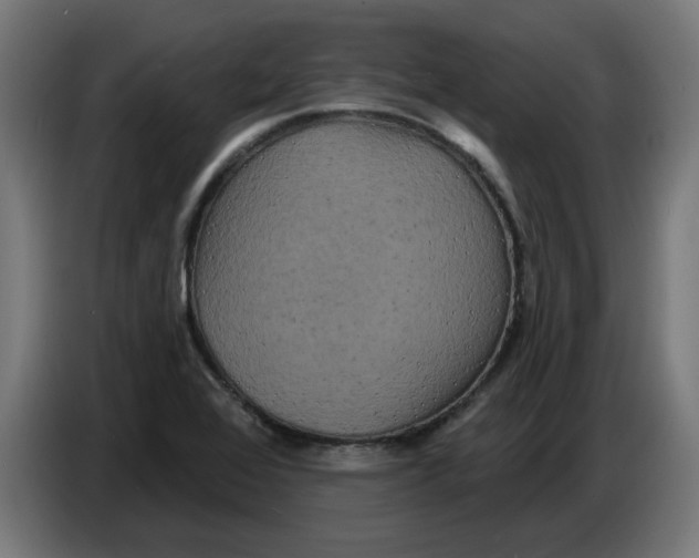 X0000086731368200705041339