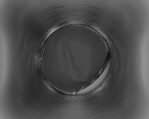 X0000086731369200705041339