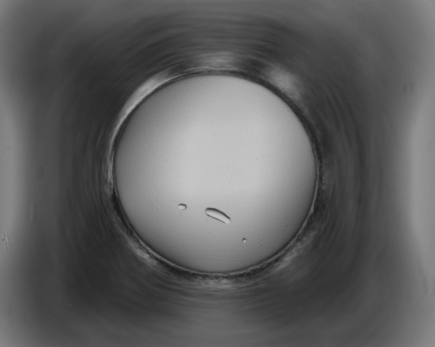 X0000086731370200705041339