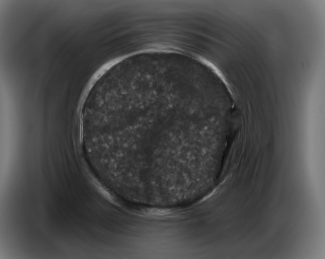 X0000086731371200705041339