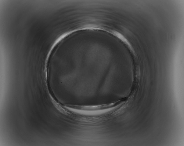 X0000086731372200705041339