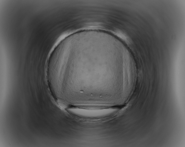 X0000086731374200705041339