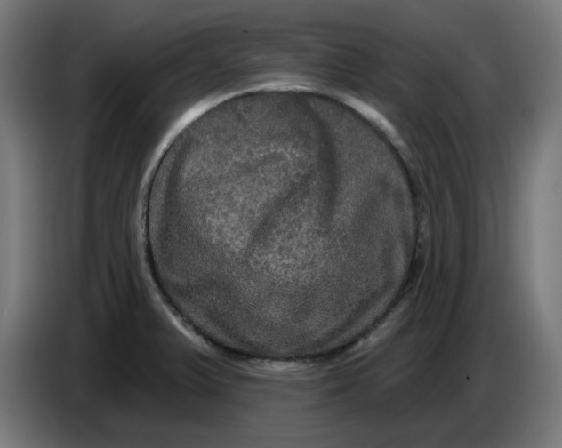 X0000086731375200705041339