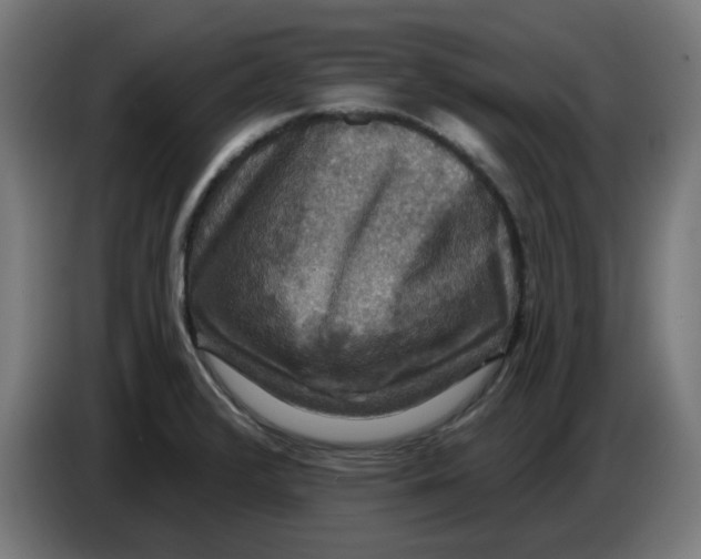 X0000086731376200705041339