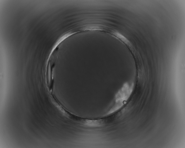 X0000086731378200705041339