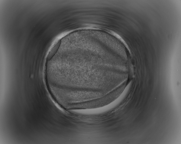 X0000086731379200705041339